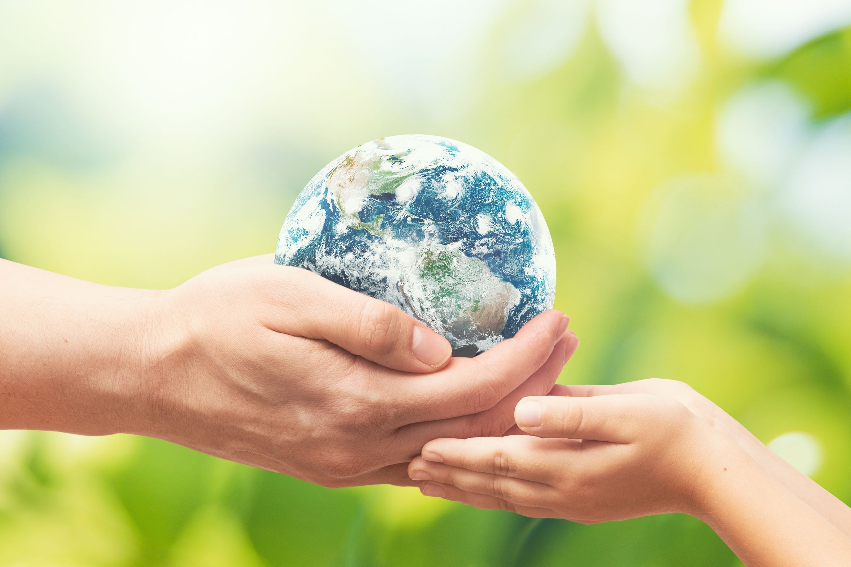 Earth in hands by Proxima Studio